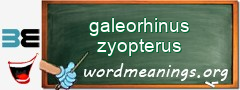 WordMeaning blackboard for galeorhinus zyopterus